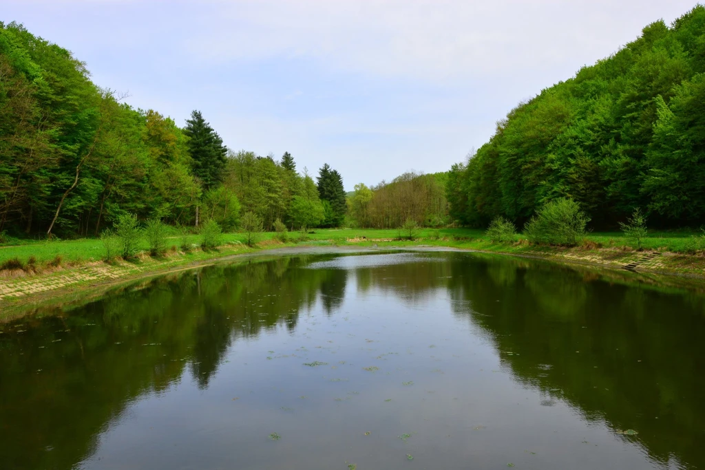 Privatna povijesna tura Crkveni jarak
