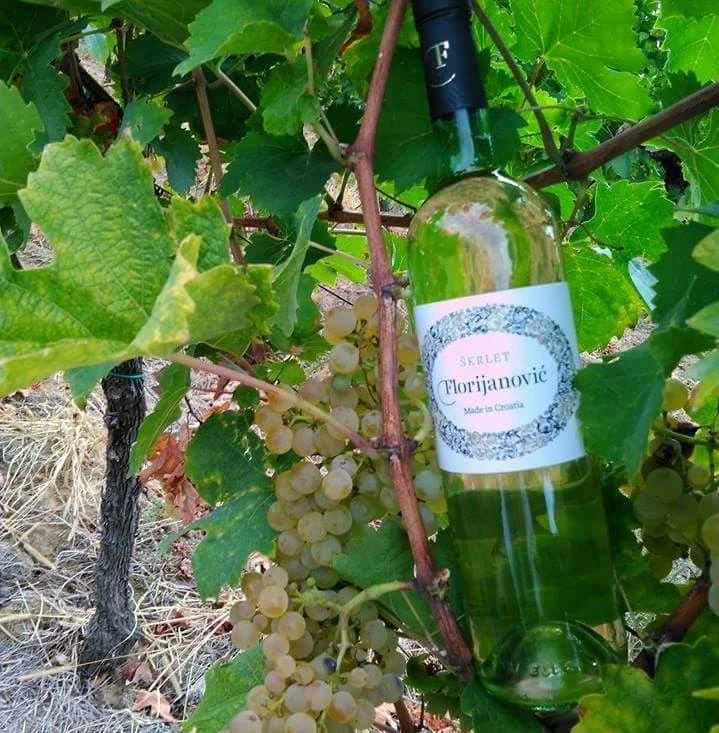 Vinarija Florijanović