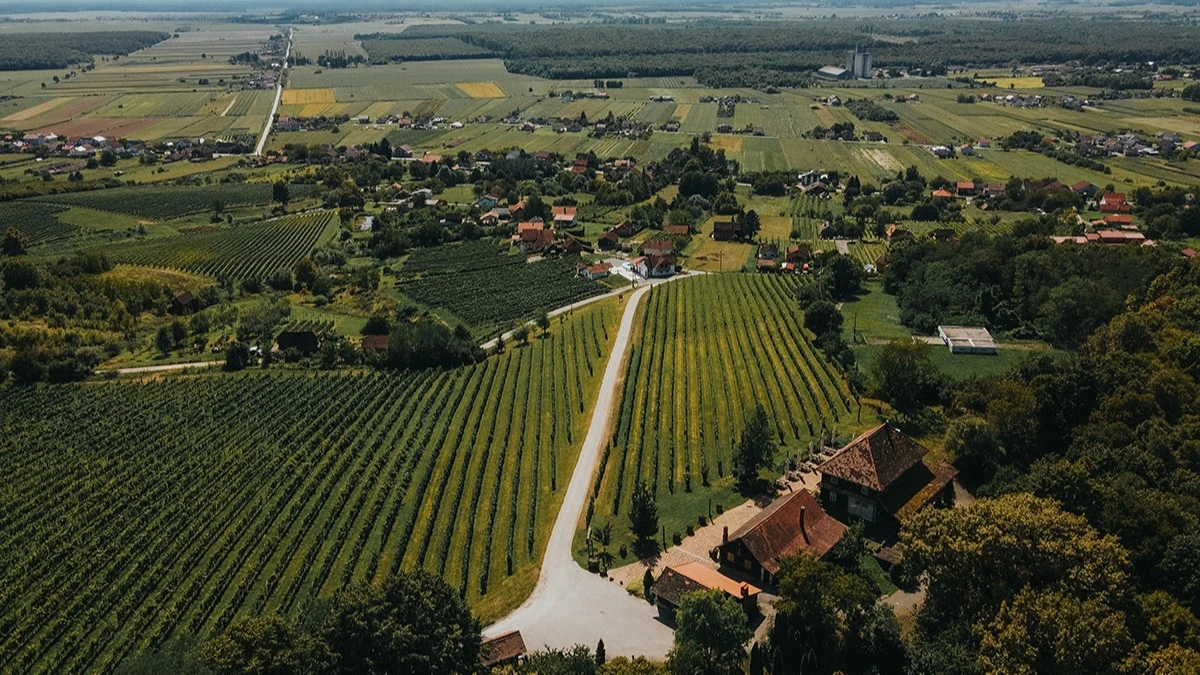 Vinarija Prpić