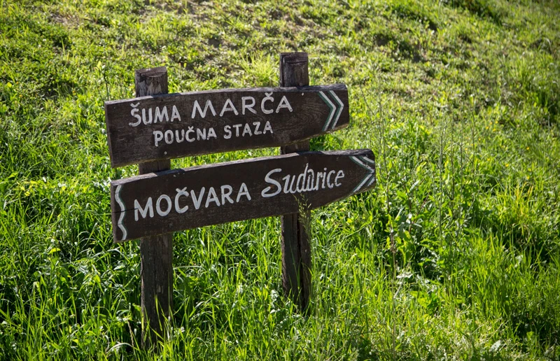 Poučna staza Marča